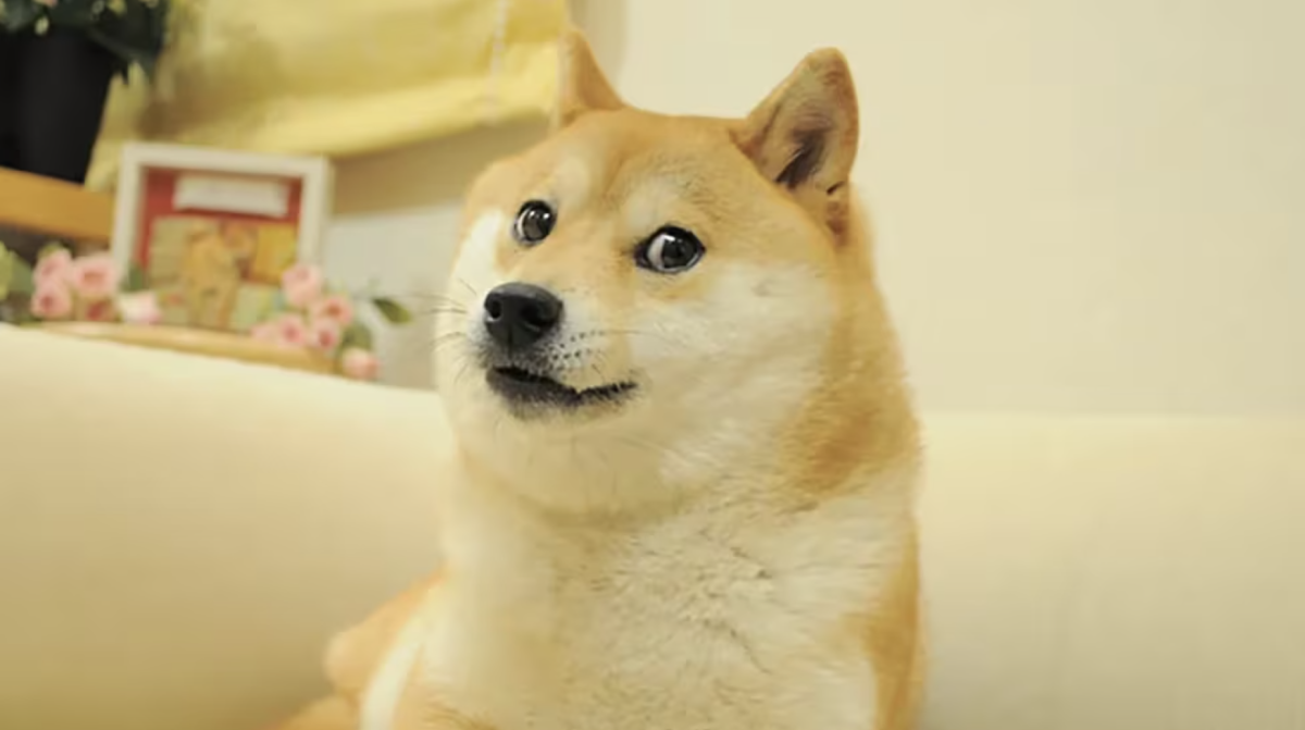 Dogecoin-Treasury von CleanCore und House of Doge gestartet